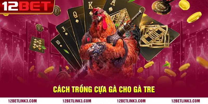 Cách trồng cựa gà cho gà tre